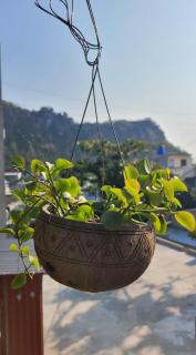 Tiny Garden House Cat Ba - Cat Ba - 4