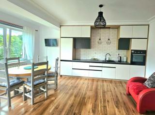 Dwupokojowy Apartament z widokiem na kanał Augustowski - Augustów - 9