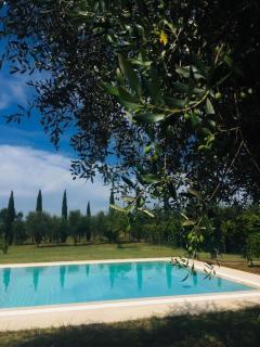 Casa del Sole - Montecarlo - 8