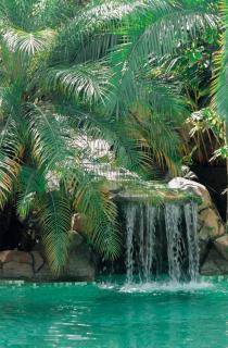 Baguá Bangalôs - 5