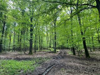 Kiskörtés Vendégház Óhuta - 4