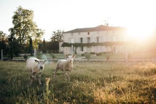 DOMAINE de la PARTOUCIE - Confolens - 6