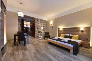 Spacious studio at Parliament with free bikes - Szemere Apartman a Parlamentnél ingyen bicókkal - 7