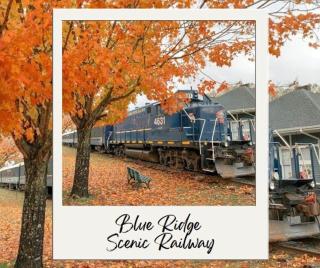 NEW King Bed, Suite, Downtown BR, Southern Charm Caboose - Blue Ridge - 2