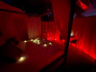 La Bulle des Pins - 5