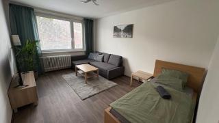apartmán pod turbínou - Loučná nad Desnou - 7