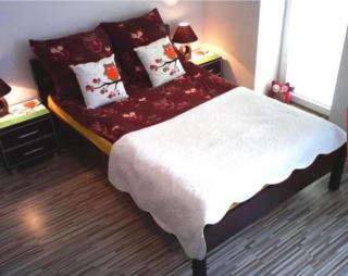 Apartament Sowa Dziwnów - Dziwnów - 0