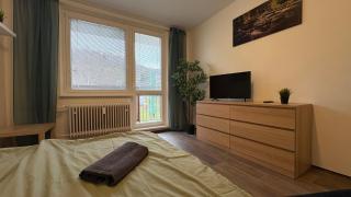 apartmán pod turbínou - Loučná nad Desnou - 6