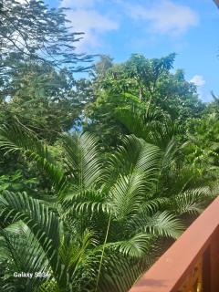 Caret Bay Tropical Retreat - - 7