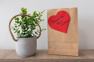 Todimer Torrebech - 6