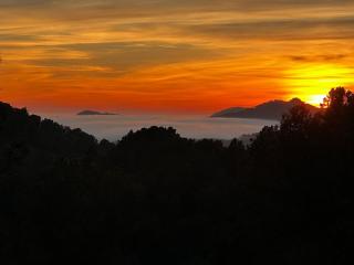 Royal hideaway & retreat Son Font - Calvià - 3