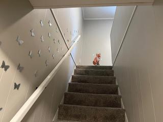 Bourbon Country Cottage - 7