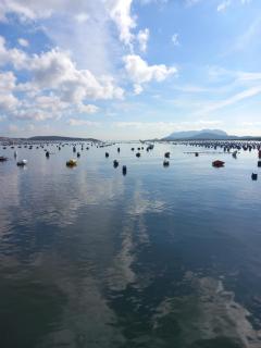 helichrysum hospitality ampio trilocale IUN Q9603 - 5