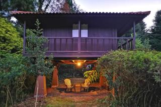 Nature Cabins - Santo da Serra - Santo da Serra - 2