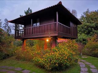 Nature Cabins - Santo da Serra - Santo da Serra - 3