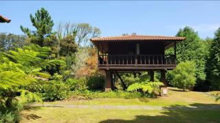 Nature Cabins - Santo da Serra - Santo da Serra - 5