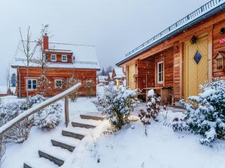 Holiday homes in the Schierke Harzresort, Schierke - Schierke - 7