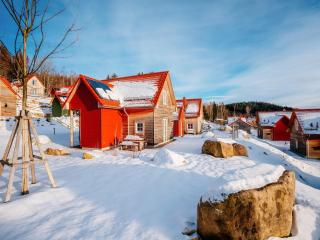Holiday Home in Schierke with Garden - Schierke - 6
