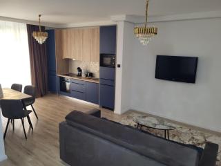 Sika Regal Apartment - private garden & parking- NEW ON BOOKING - Arad - 9