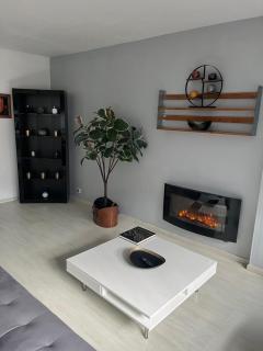 Jolie appartement - Mulhouse - 1