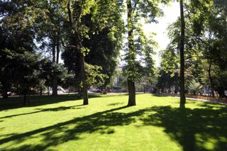 Jolie appartement - Mulhouse - 8