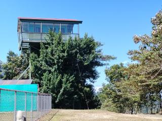 Casa árbol - Aguas Zarcas - 9