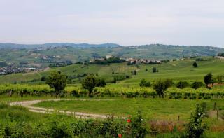 Villa Gaia - - 4