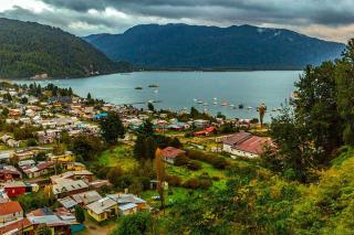 Baguales Patagonia - 2