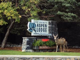 Banff Aspen Lodge - 1