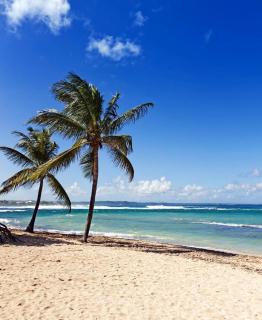 Appartement à proximité de la plage - 3