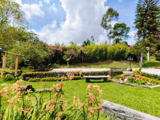 Hermosa Finca El Castillo - Excelente Ubicación Rionegro Marinilla - Rionegro - 1