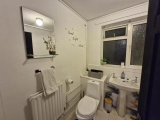 Elegant 2-bedroom apartment in Wimbledon - 8