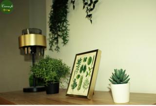 Le Botanique - 15 min Paris et Stade de France - 50m2 - 2 chambres - 6