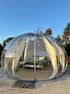 Bubble Hotel - Coonabarabran - 3