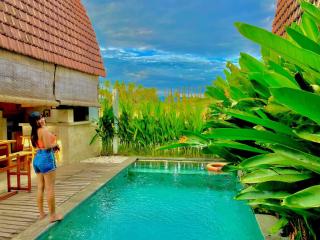 Bhumi Lovina Residence & Villa - 3