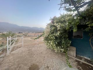 نزل نسيم الحمراء - nseem alhamra inn - Al Ḩamrāʼ - 3