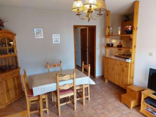 Bel appartement 2 pièces, terrasse, parking, Serre Chevalier - FR-1-330E-138 - Saint-Chaffrey - 2