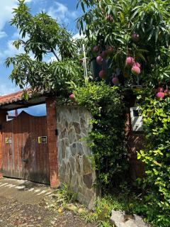 Finca Turistica los Mangos - Tena - 7