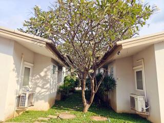 清迈悦来长租酒店Chiang Mai Warming Home Long-term Hotel - Chiang Mai - 9