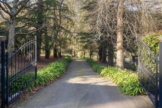 Cooinda Estate - The Patch - 7