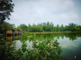 Calm at Bangphat - Bor Saen - 0