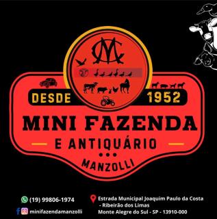 Mini Fazenda e Antiquário Manzolli - Monte Alegre do Sul - 0