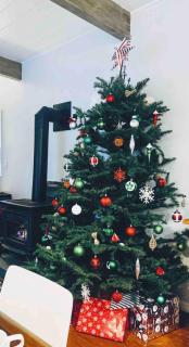 Remodeled spacious 2Bdr2Bath King beds backyard - 8