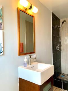 Remodeled spacious 2Bdr2Bath King beds backyard - San Jose - 6