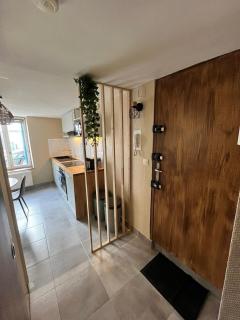 Appartement rénové et confortable idéalement situé - Nancy - 6