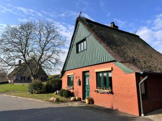 Reetdachkate am Deich - 0