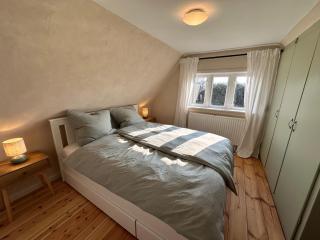 Reetdachkate am Deich - 6