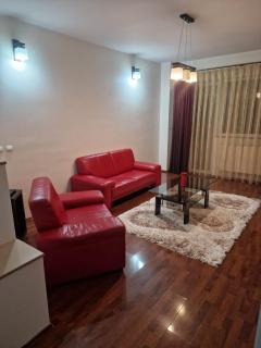 Apartament confortabil in Suceava - Suceava - 8