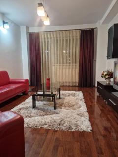 Apartament confortabil in Suceava - Suceava - 7
