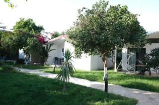 Perast Garden Hotel - Çıralı - 2